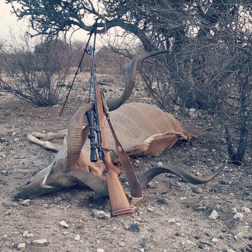 Hunting Kudu Trophy